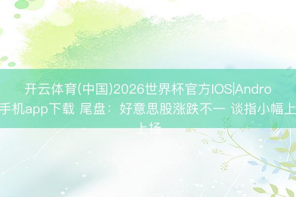 开云体育(中国)2026世界杯官方IOS|Android手机app下载 尾盘：好意思股涨跌不一 谈指小幅上扬