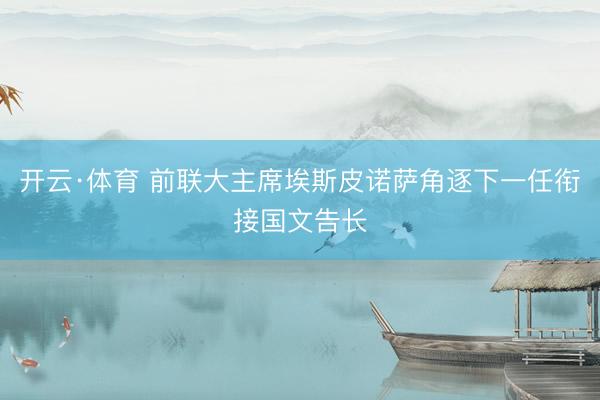 开云·体育 前联大主席埃斯皮诺萨角逐下一任衔接国文告长