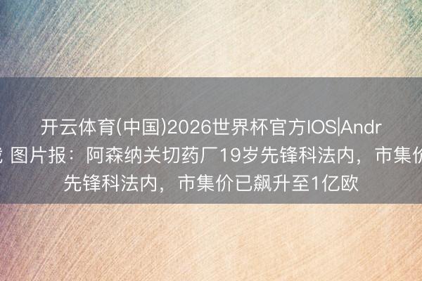 开云体育(中国)2026世界杯官方IOS|Android手机app下载 图片报：阿森纳关切药厂19岁先锋科法内，市集价已飙升至1亿欧