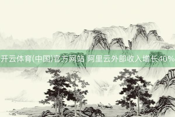 开云体育(中国)官方网站 阿里云外部收入增长40%