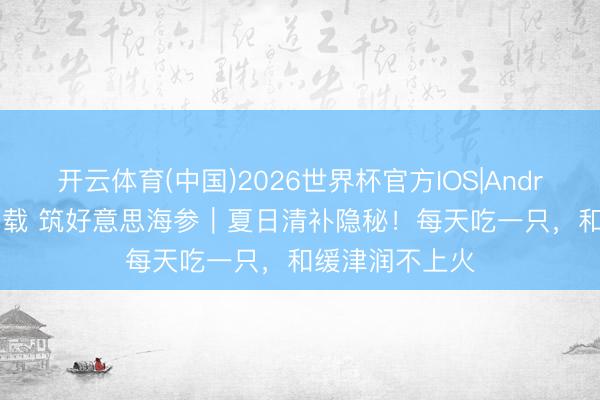 开云体育(中国)2026世界杯官方IOS|Android手机app下载 筑好意思海参｜夏日清补隐秘！每天吃一只，和缓津润不上火