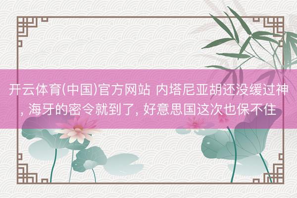 开云体育(中国)官方网站 内塔尼亚胡还没缓过神, 海牙的密令就到了, 好意思国这次也保不住