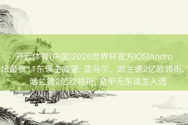 开云体育(中国)2026世界杯官方IOS|Android手机app下载 足坛最贵11东谈主威望: 亚马尔、哈兰德2亿欧领衔， 意甲无东谈主入选